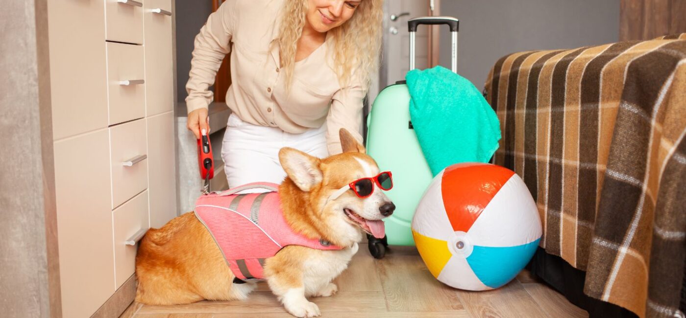 Using Best Treats For Dog Training