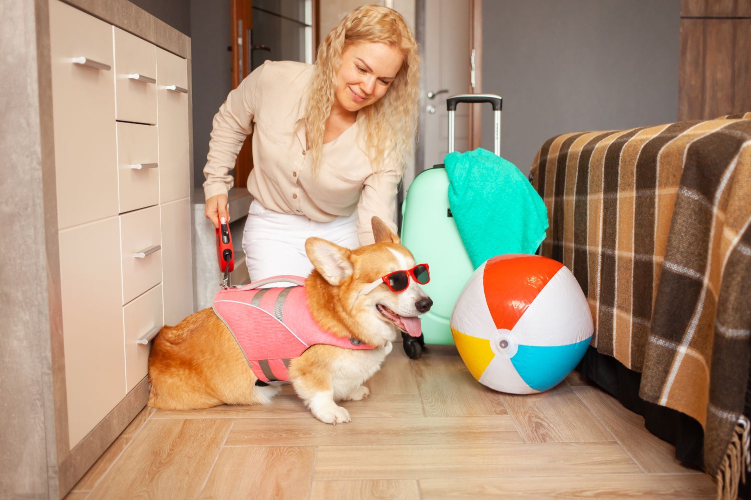 Using Best Treats For Dog Training