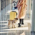 First Things to Teach Your Puppy